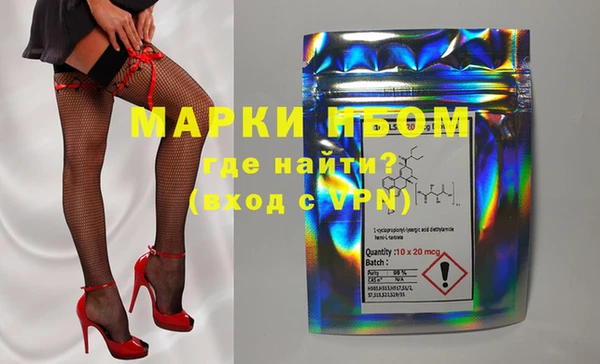 шишки Осташков
