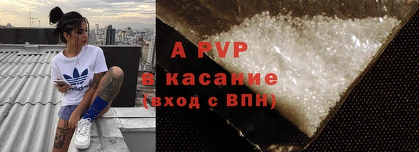 прущие грибы Каменск-Шахтинский