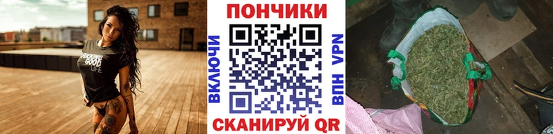 продажа наркотиков  Поронайск  Бошки Шишки конопля 